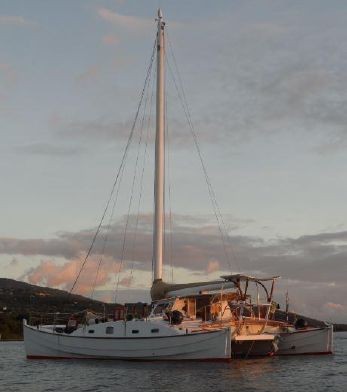 Used Sail Catamaran for Sale 2000 Custom 
